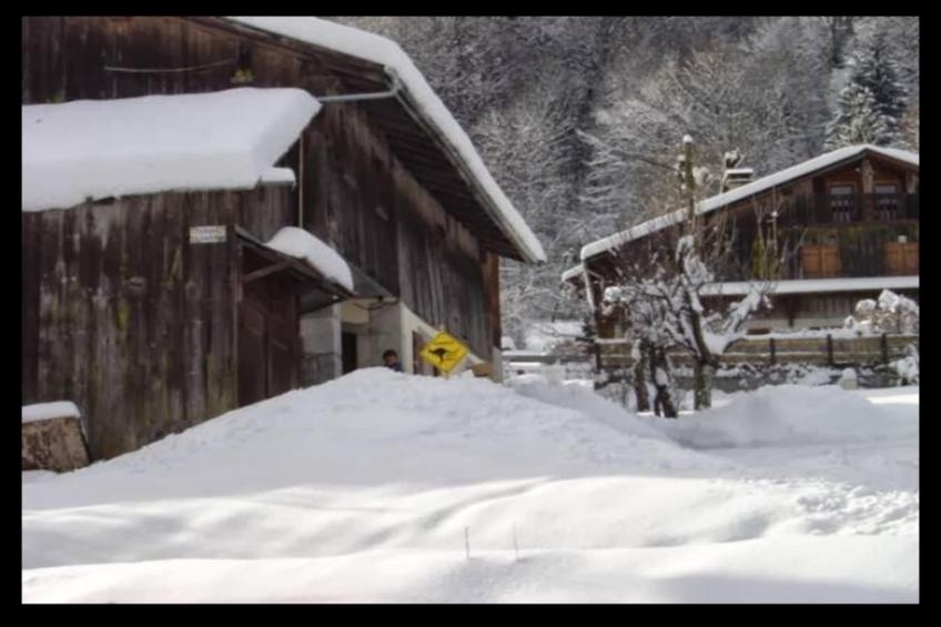 Chalet Le Gaillu - foto 40