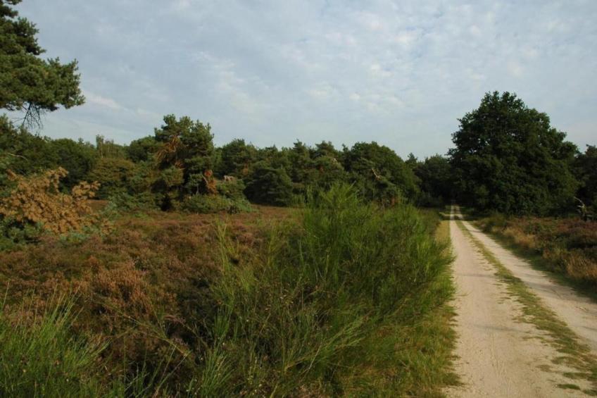 Landgoed De IJsvogel 12 - foto 29