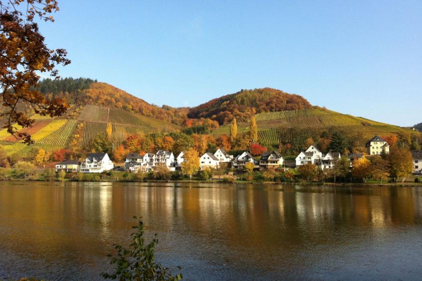 Haus Budinger - foto 8