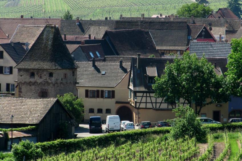 2ed-Face Vosges,im Süden,Herz Weinberg,Ruhig,WiFi - foto 18