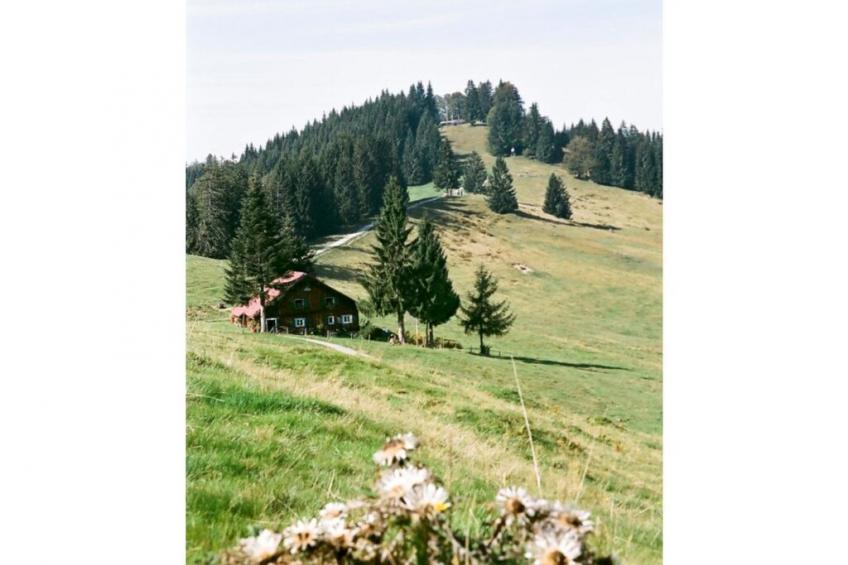 26547 - foto 26