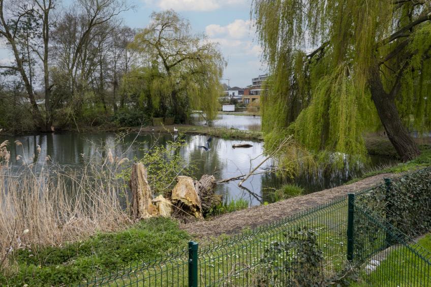 La Rive du Lac - foto 2