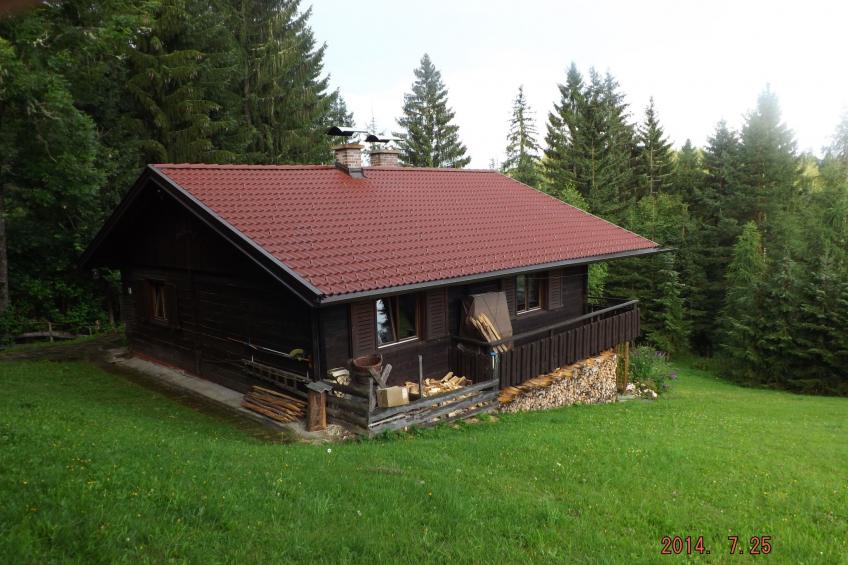 in Gnesau mit Grill - foto 17