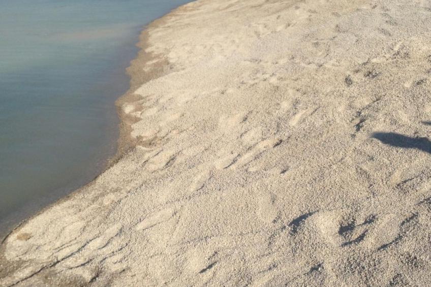 Studio mit Meerblick vom privaten Balkon - foto 8