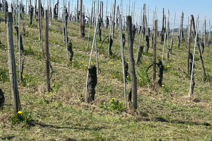 Casa il Cuore delle Langhe bei Holiday World - foto 17