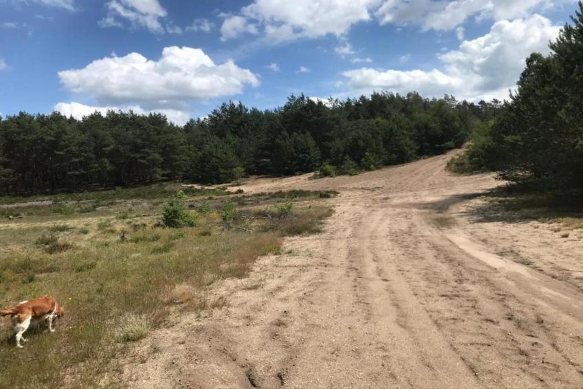 De Veluwse Eekhoorn - foto 26