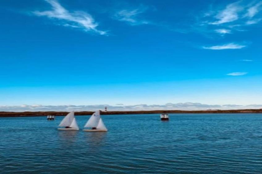 SCORPIO BI 201 - foto 22