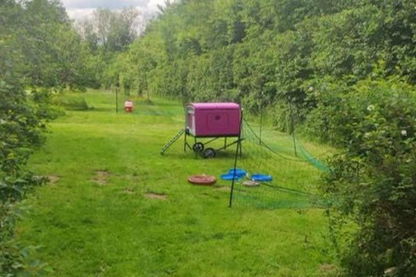 für 8 Personen - foto 48