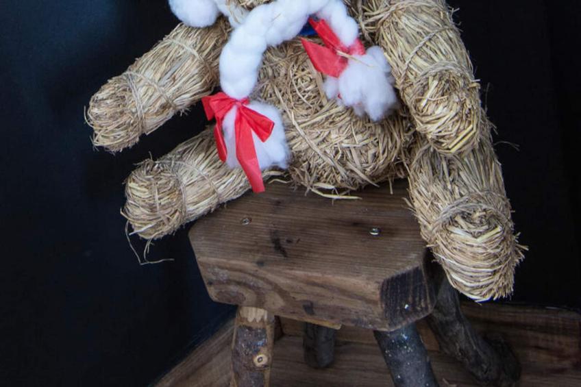 Chalet Les Ecrins - foto 16