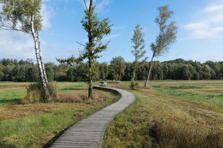 Bospark de Schaapskooi 9 - foto 35