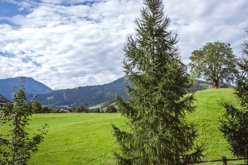 Naturpark Chalet Schladming-Dachstein - foto 28