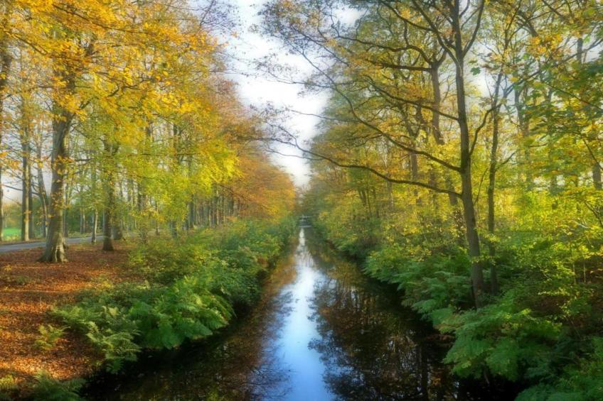 8 persoons villa - foto 37