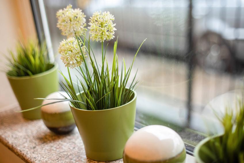 FLAT 4- GROVE APARTMENTS - foto 40