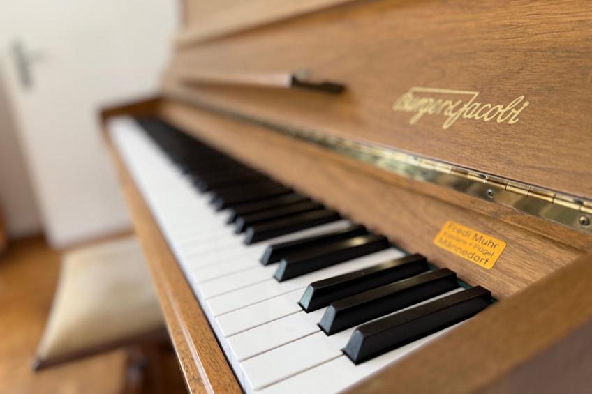 The Holiday Home Davos - foto 11