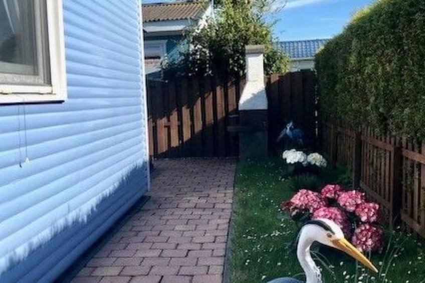 Haus DE BLAUWE REIGER - foto 17