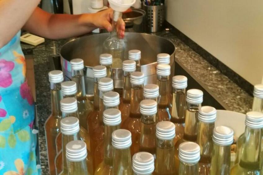 Gala+ Vernatsch - foto 29