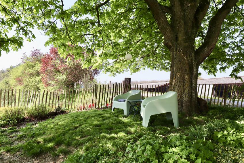Le Grenier de Louise - foto 32