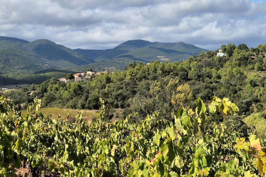 La Garrigue - foto 24