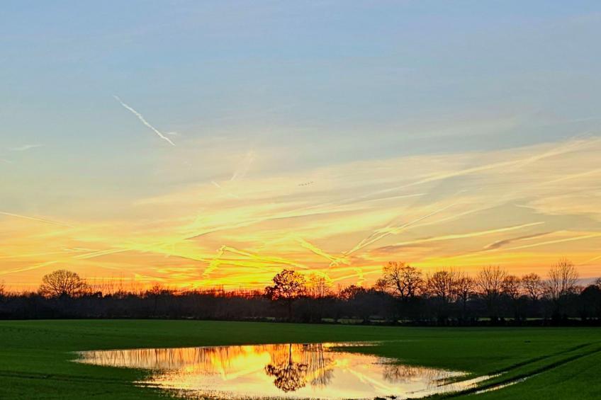 Apartment Naturpark - foto 25