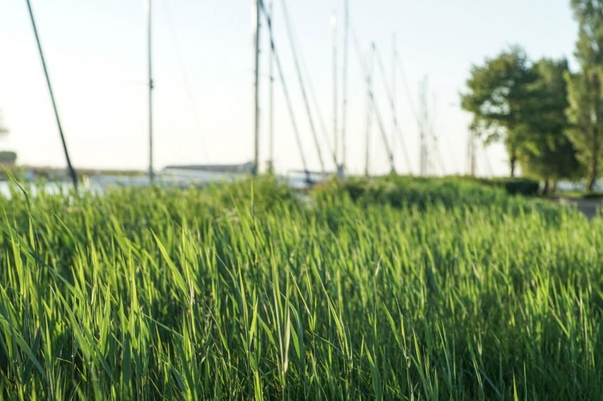 mit Terrasse - foto 42