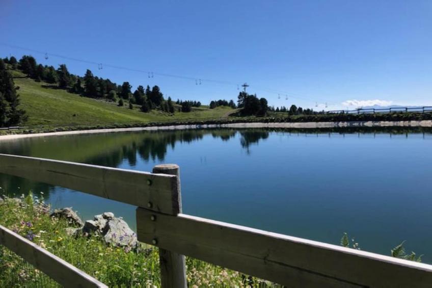 V du Bachat SILENE A N°05 ST6 - foto 18