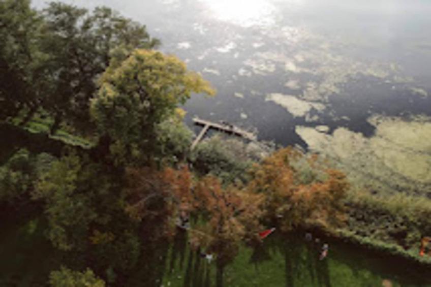 Bungalows am Vordersee, Dobbrikow - foto 18