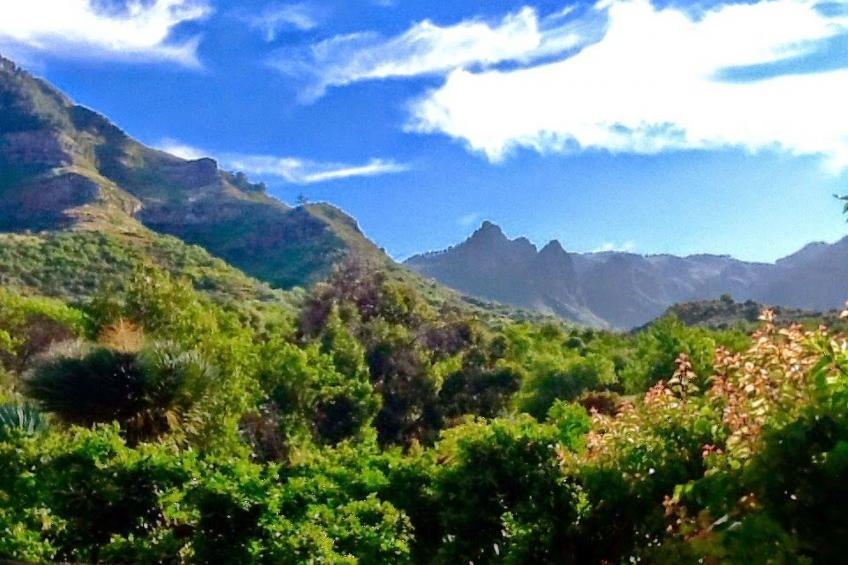 Finca mit Garten, Grill und Terrasse - foto 7