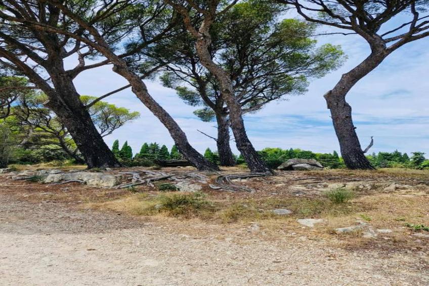 Rèsidence Le Mas des Alpilles - foto 36