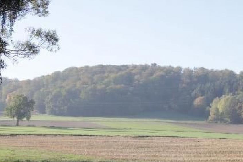 Gästehaus Kühne - foto 19