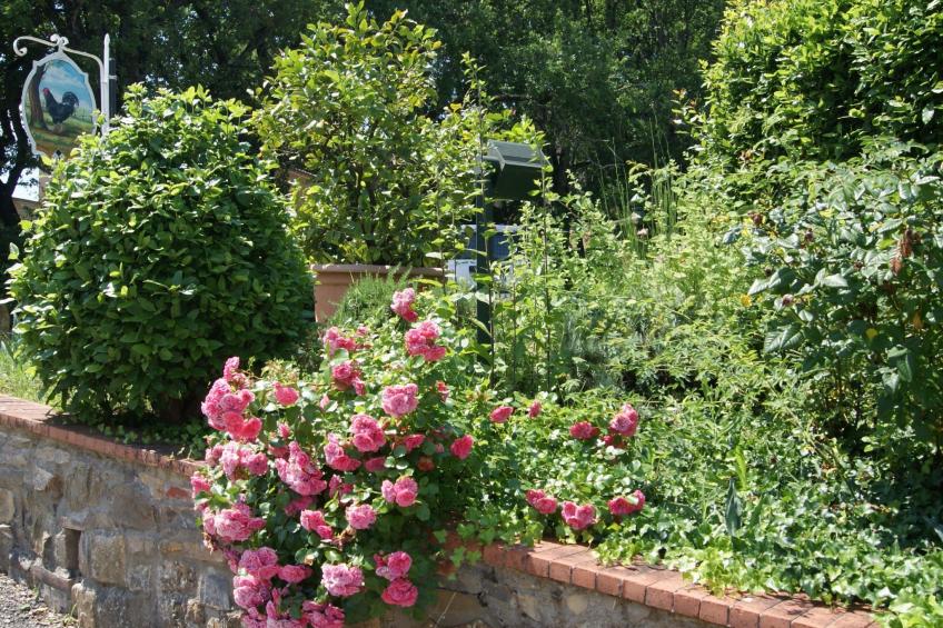 Wohnung mit Privatparkplatz und schöner Aussicht - foto 29