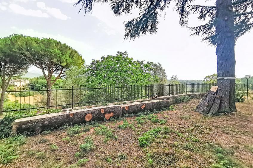 La Casa dei Cedri - foto 23