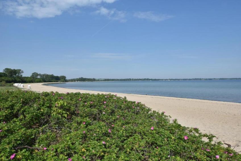 Platz im Grünen 3 - foto 20