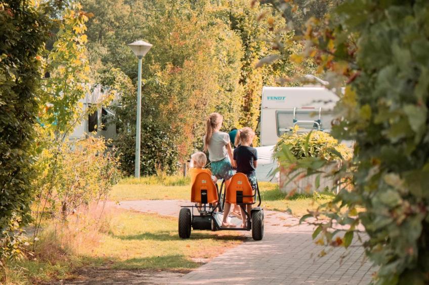 Safaritent | 6 persoons - foto 16