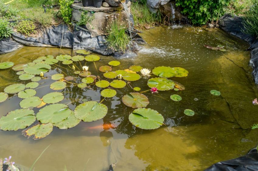 Casa Ananda Ferienhaus - foto 8