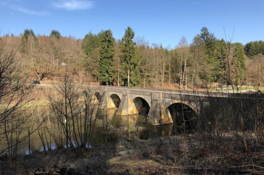 L'Alouette - foto 32