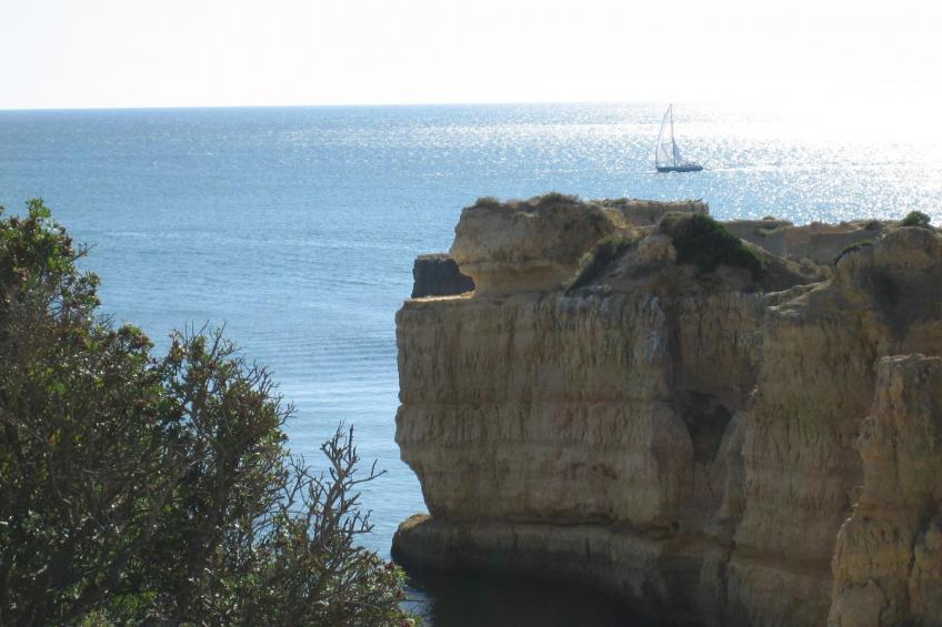 Pine Sun Park - foto 28