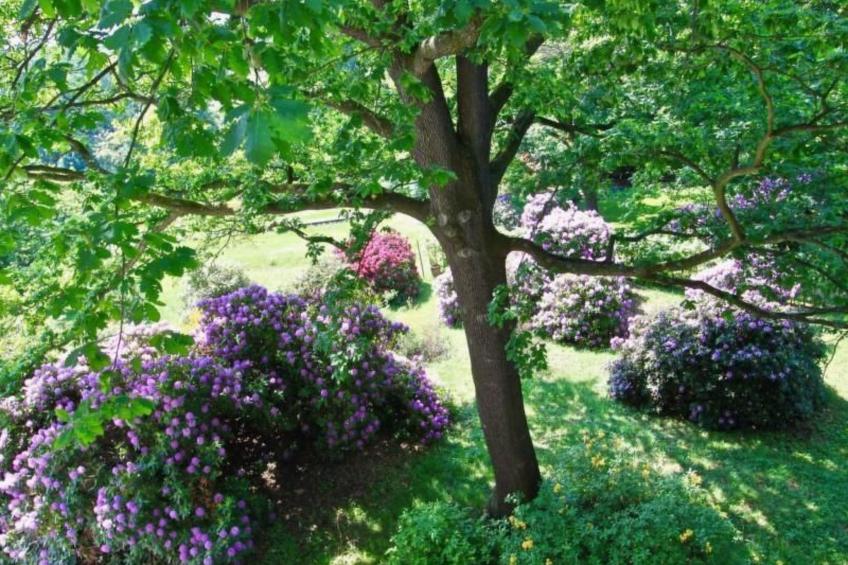 Fewo Natur und Kunst - foto 8