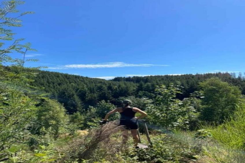 Aux Hirondelles - foto 31