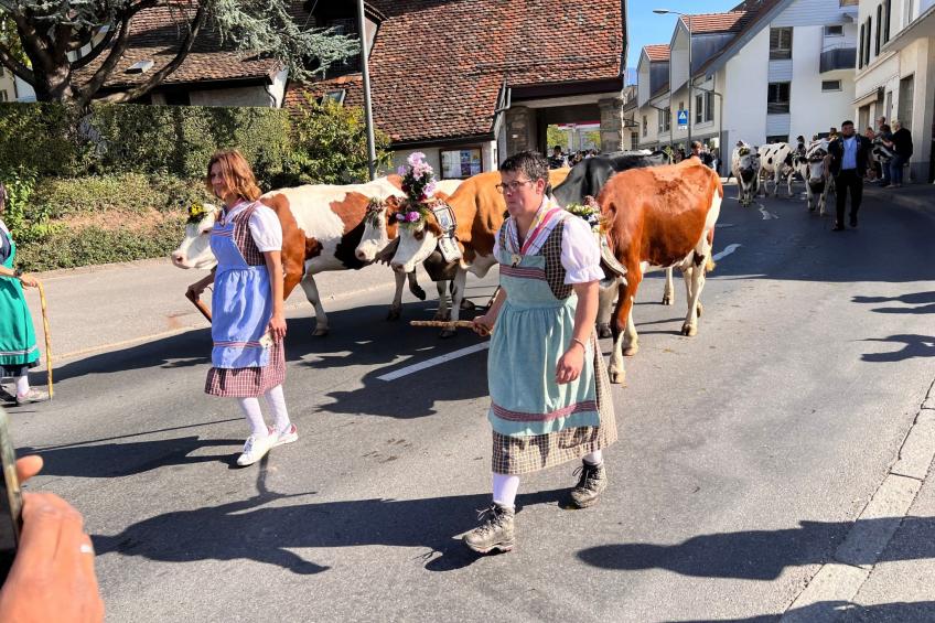 Vigneronne, Vigne - foto 24