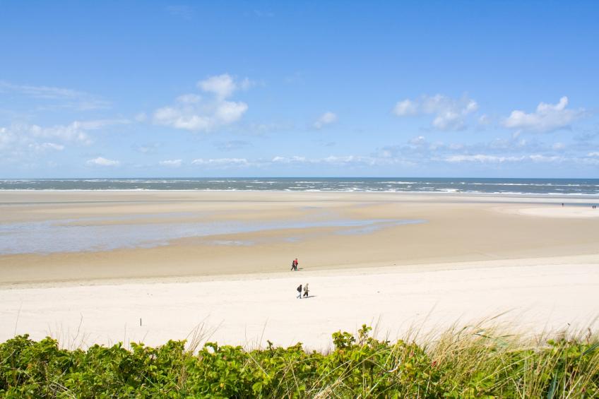 Beukenlaan 1 - foto 36