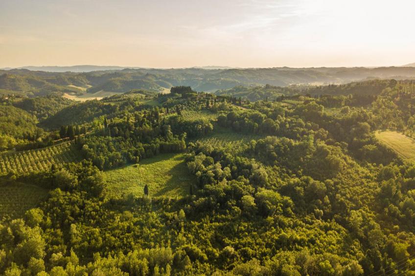 Villa San Miniato - foto 104