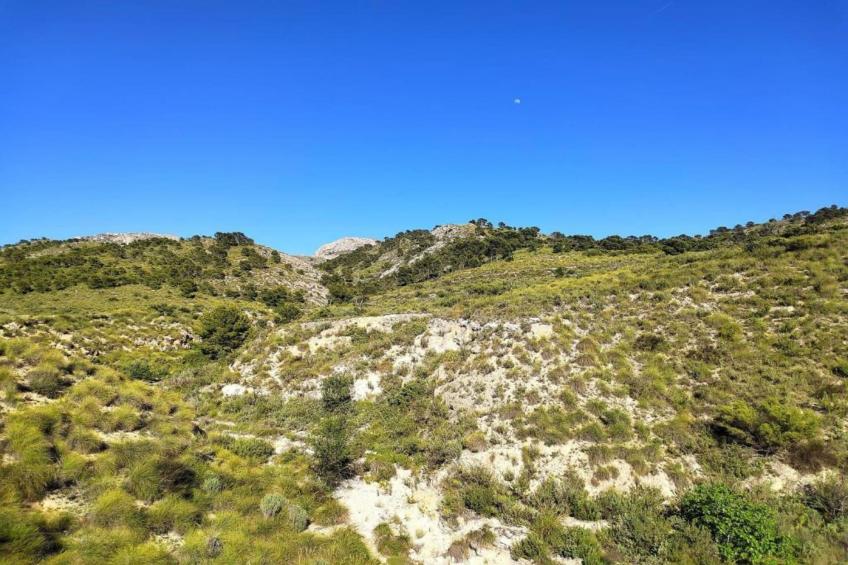 Villa Raprodet - foto 29