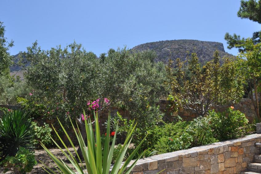 Nefeli Blue Villa in altem Olivenhain, Meerblick - foto 27