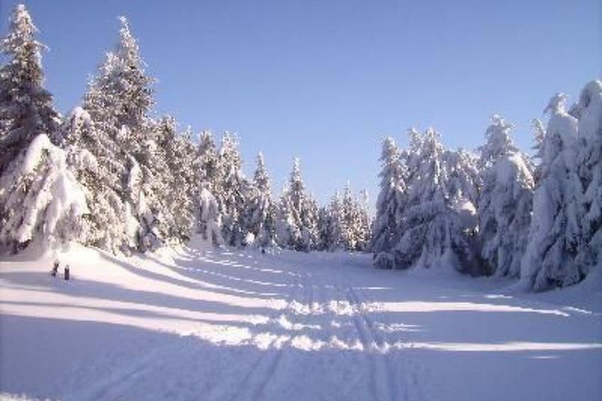 Fam. Sauer - foto 12