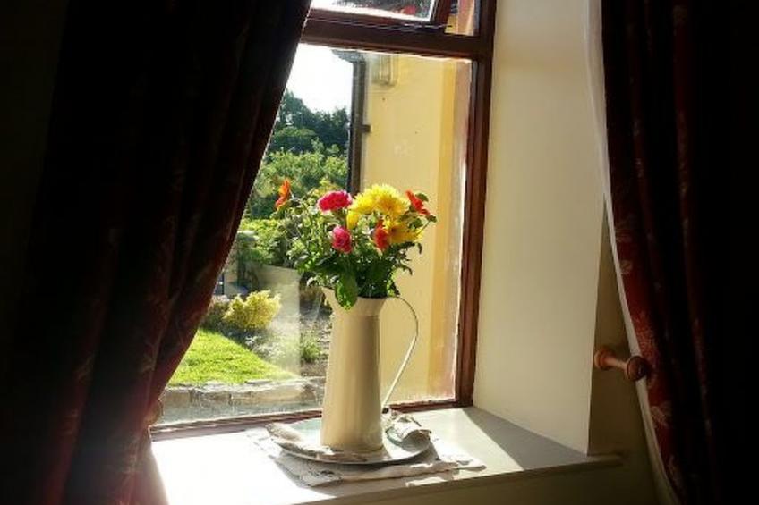 Cottage "James Tymon" mit Terrasse und Garten - foto 22