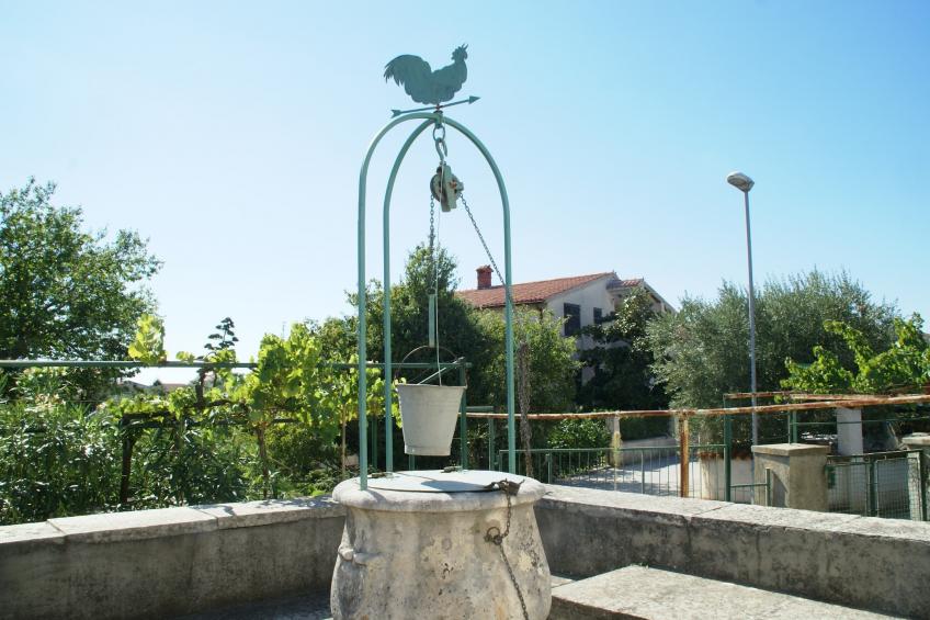 Belci - foto 7