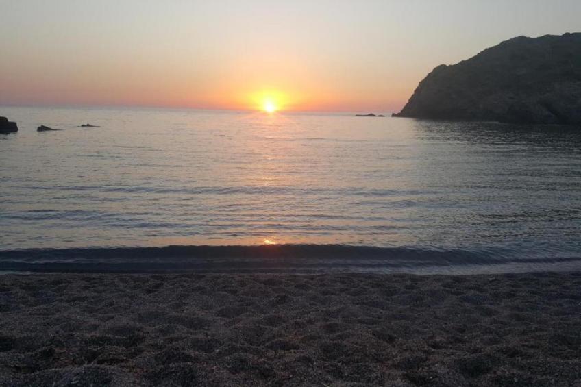 IL DELFINO - foto 25