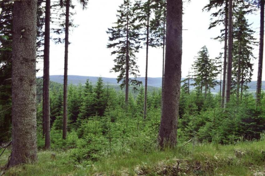 Ferienhaus Gehren - foto 27