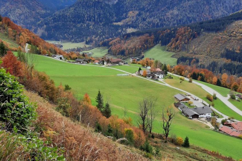 Fewo Rheinfeld - foto 9