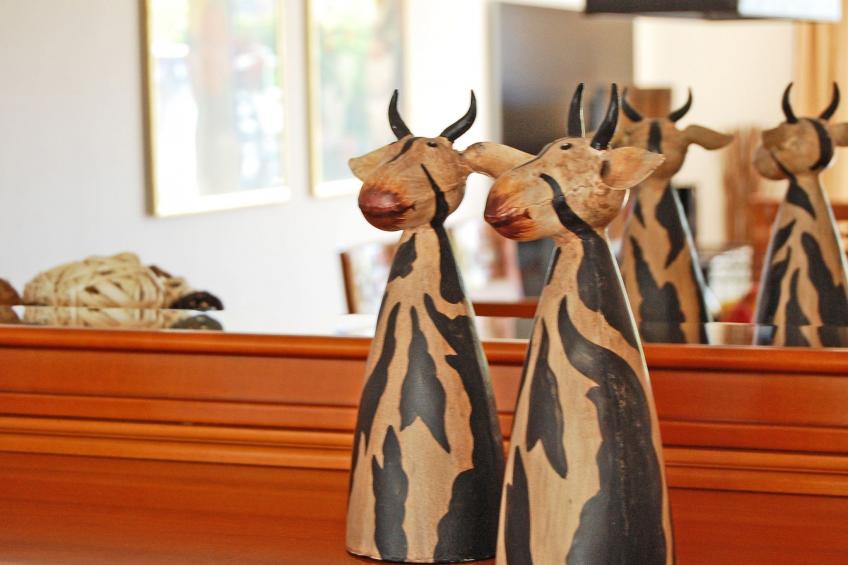 Müritz Ferienhaus - foto 5